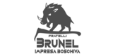 Brunel